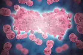 身体莫名出现这几个症状，警惕是白血病的前兆！图片