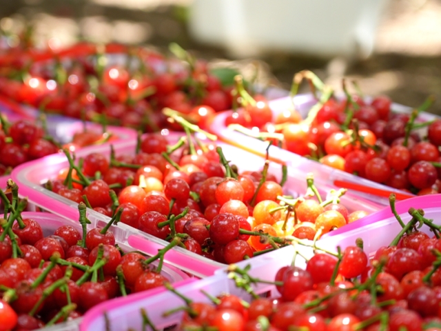 手头的事放一放，我要去雅安过五一了