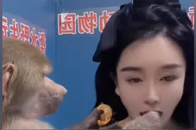 爆笑！一女子晒出猴子为她剥橘子皮动作娴熟，评论区写到完美男友图片