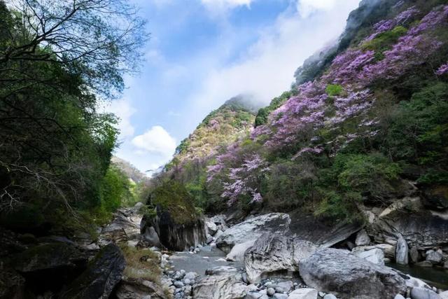 广元不远 周末优选｜不如见一面，顺便玩一圈！清明假期带你玩转唐家河