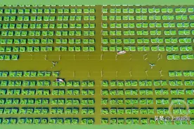 “城”势而上 | 仙桃小黄鳝拱出了大产值的“黄鳝之都”图片