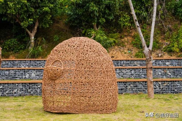 深圳新手必刷！5公里山海徒步，地铁直达→