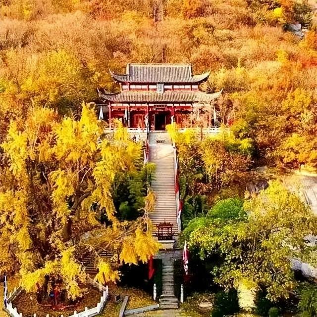 临沂人秋日里心心念念的风景已经来了，快看看吧