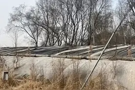 邯郸杀人案三人最新进展图片