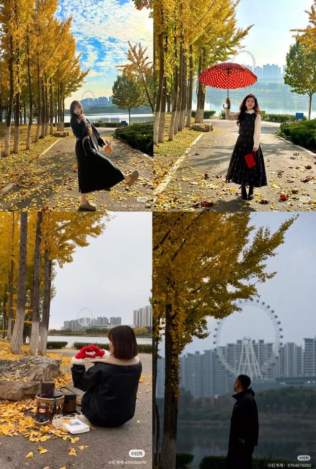 最适合拍银杏的地方！ 临沂十个0元打卡点，抓住今年最后的金色风暴！