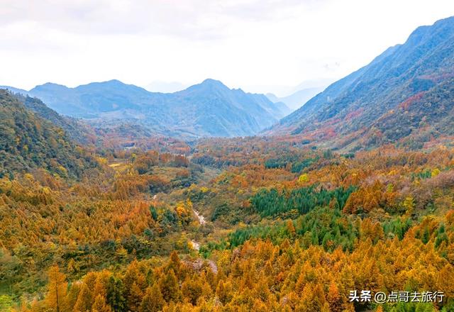 成都严重被低估的彩林徒步线路，1天轻松往返，山野壮观绚丽！