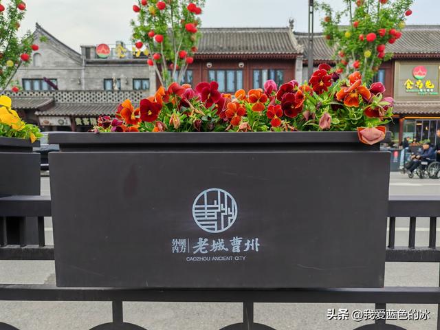 闲逛菏泽市老城曹州。这里的慎思园成了婚纱照的网红天堂了