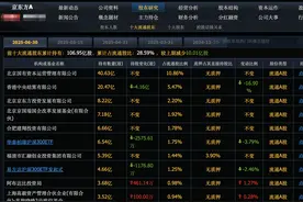 股价低至2元，唯一性的龙头，高盛新进2256万股，业绩暴雷图片