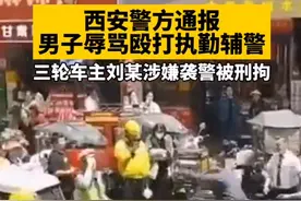 一非法营运电动三轮车车主辱骂殴打辅警？西安警方通报图片