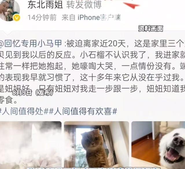 东北雨姐这一次完了，国新办点名，复出失败，彻底沦为反面教材！