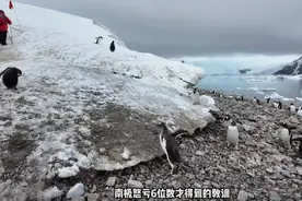 数百人滞留！一大半是中国人，有人2天损失16万图片