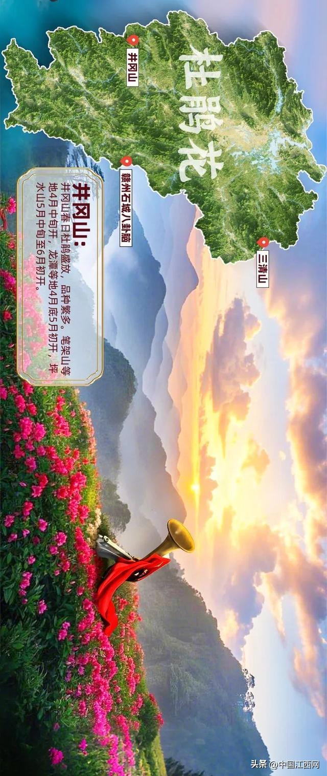 探春花丨江西春日赏花地图正式发布！