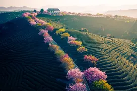 3月15日大乐透（6+3）复试推荐前复 03 06 11 19 20 31 后复 01 11 12图片