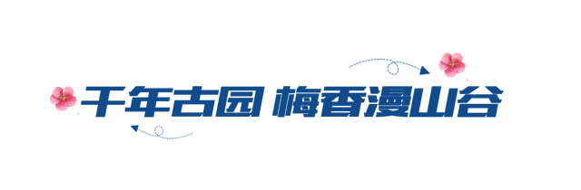 大寒至，春可期，昆明这些地方繁花似锦！