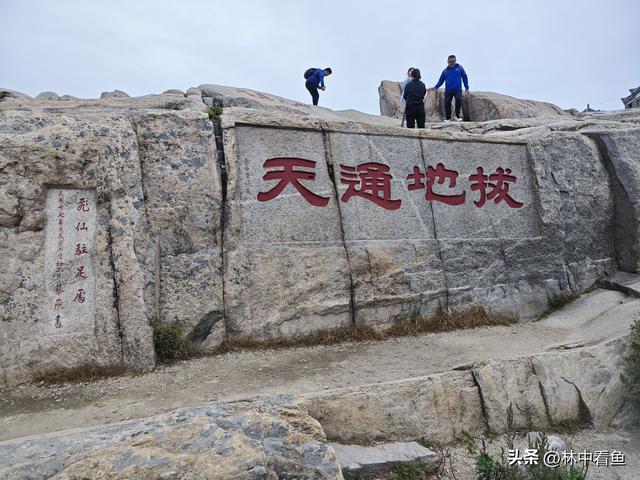徒步登泰山之三——岱顶风光奇秀绝天下
