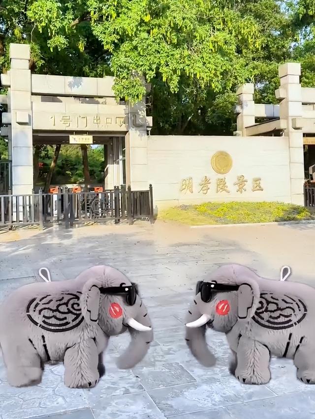 来都来了，就别空手走了！