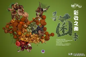 一组海报认识8种常见野生菌图片