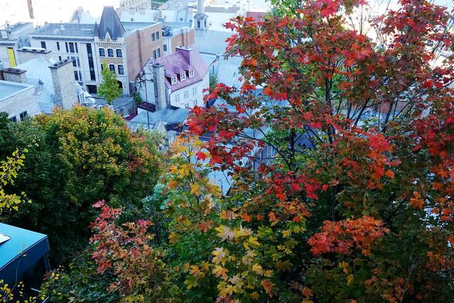 去北美洲加拿大和古巴的旅程