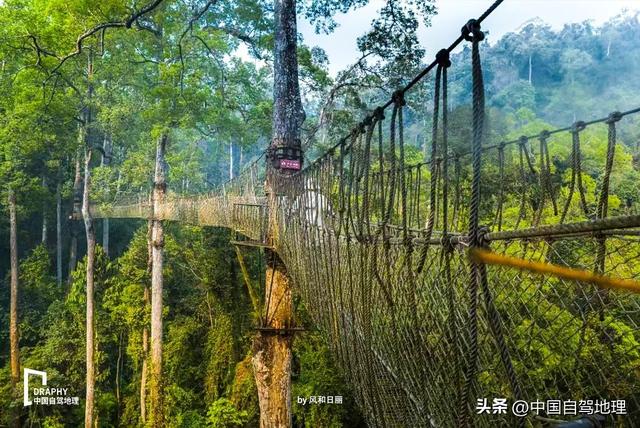 秋冬最被低估的旅居净土！收藏这份保姆级赏玩攻略，来了就不想走