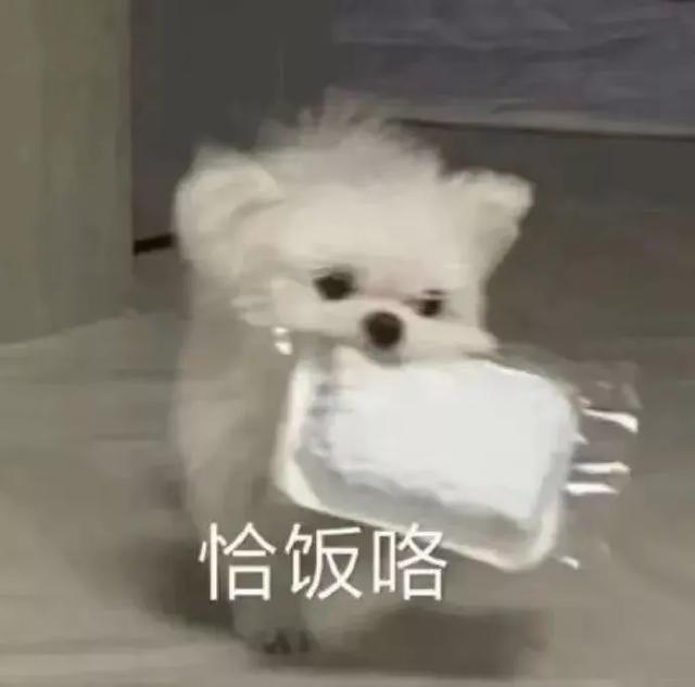 "恰饭"是个什么梗?