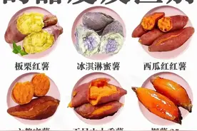 常见红薯的种类，今天一次性讲清楚图片