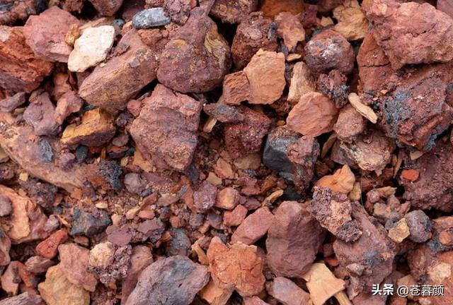 日本对中国的反击很猛，美国嗅到不寻常信号，做出了一个明智选择