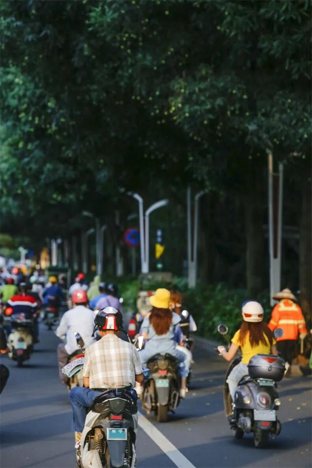一半是安逸养老，一半是熬夜天堂！这座城冬天有鲜花，凌晨有人潮