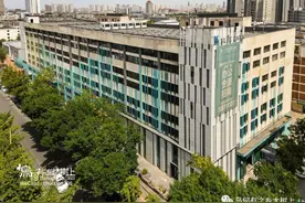 飞鸽自行车：无比辉煌的天津品牌，销量曾占全国市场一半图片