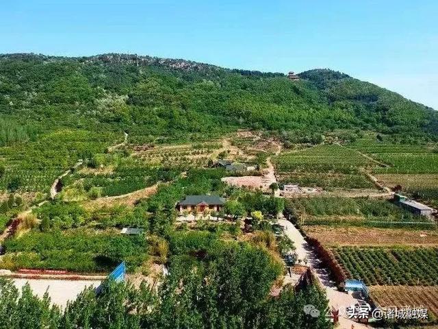 来诸城 跑半马 赏美景
