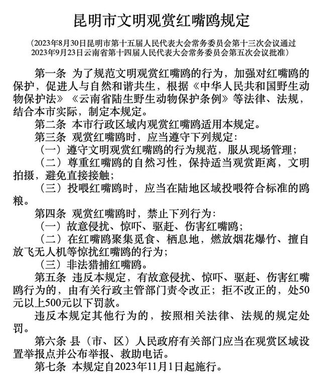 红嘴鸥来了！在哪“鸥”遇？昆明观鸥地图请查收