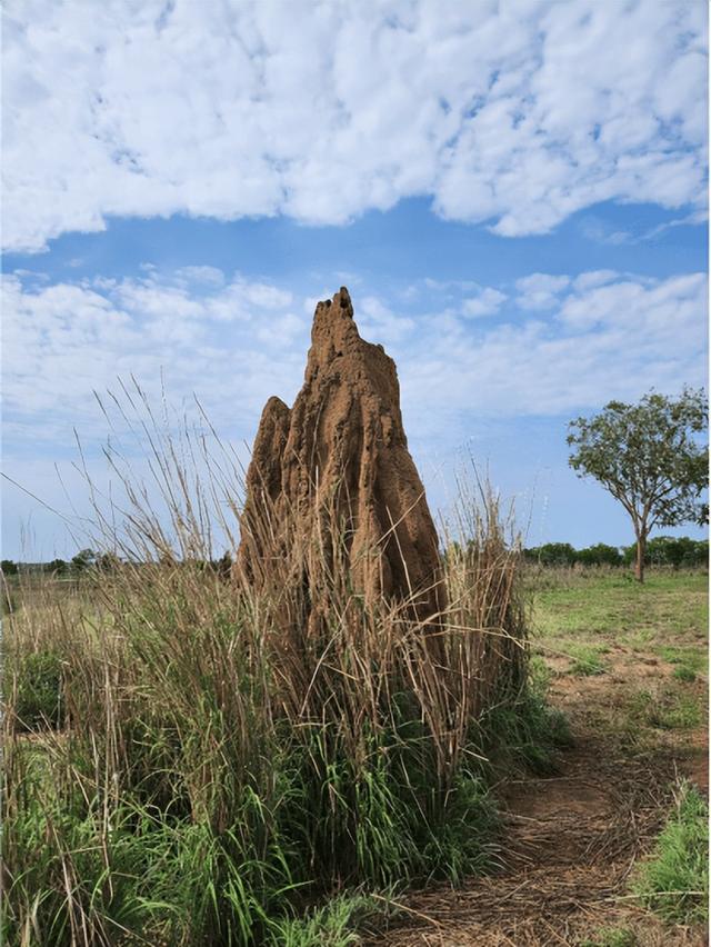 【异域风情】李后强：澳洲的“达尔文金字塔”