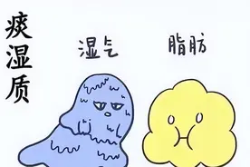 脾胃肝胆，大肠膀胱湿热有救了！4个中成药，清走全身90%的痰湿！图片