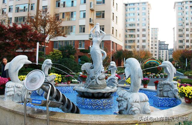 携老伴虹桥花园赏菊（上）