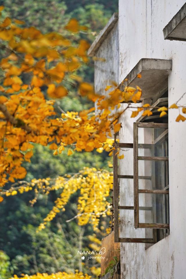 漫游韶关，赴一场山水间的秋日之约