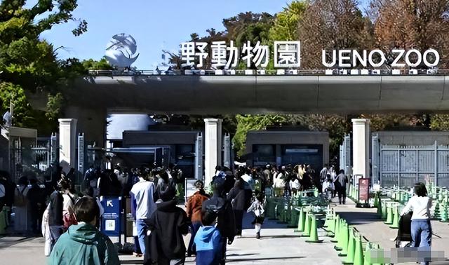 没有回旋余地，中国下令直接收回，17万日本人泪奔，高市闯祸了！
