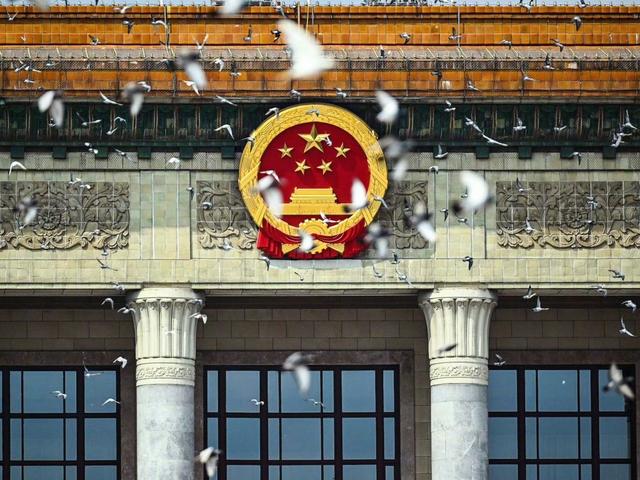 阅兵放飞信鸽翻车现场：不少鸽子“越狱”，原因曝光让养鸽人泪崩