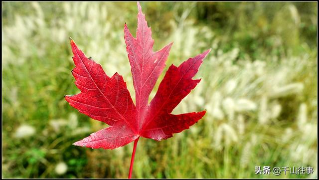 车轮碾过诗与画：枣庄骑行打卡地全攻略（老骑友多年亲测推荐）