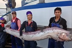 日本民众陷入恐慌，海洋生物“主宰”出现，东京或有重大灾难图片