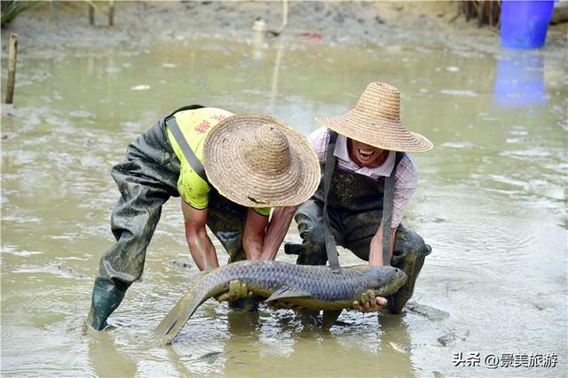 佛山紫南芳华谷清明开放，七大主题亮相，打造湾区微度假目的地