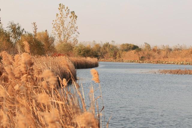 江苏深秋封神路线！红叶燃山野，银杏铺禅径，13城秋韵一次锁死