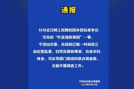 从叶县“强拆果园”看土地征收中的几个法律问题图片