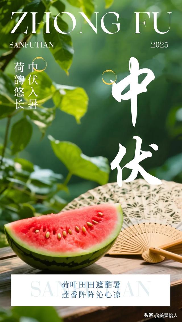 中伏安康！愿你在热浪里，藏得住清凉，守得住欢喜