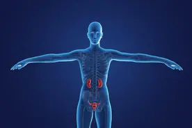 肾虚精亏，疲软无力，分享1盒中成药，补肝益肾，强肾固腰图片