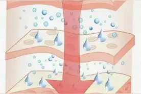 皮肤基础知识（喜欢得姐妹们存一下吧）图片