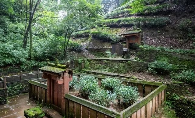 世界上只有中国四川省雅安市才有的 “全球独一无二的 5 大奇景”