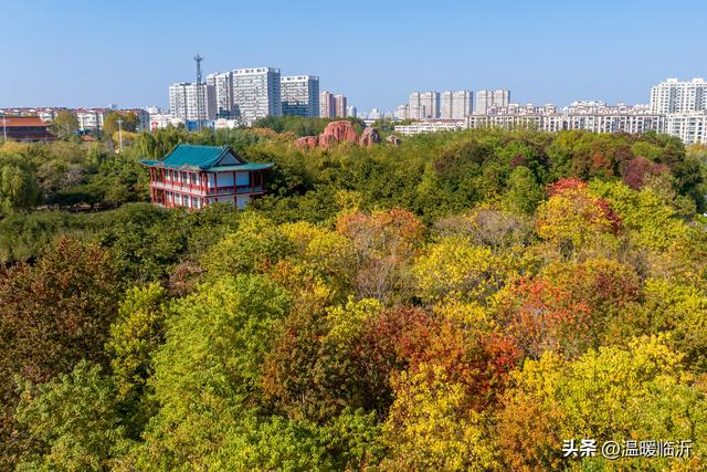红石湖公园“升级归来”，绘就临沭幸福生活新图景