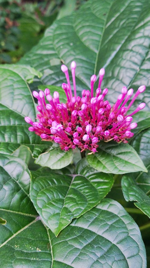 你有多久没人问你累不累