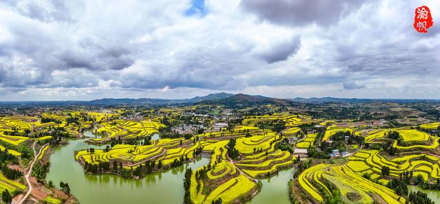 重庆，你糊涂呀！这么美的油菜花海都不宣传，感觉比云南罗平还美