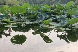 老祖宗说“宁可门前对河塘，不可门头对高墙”，你家犯忌讳了吗？图片
