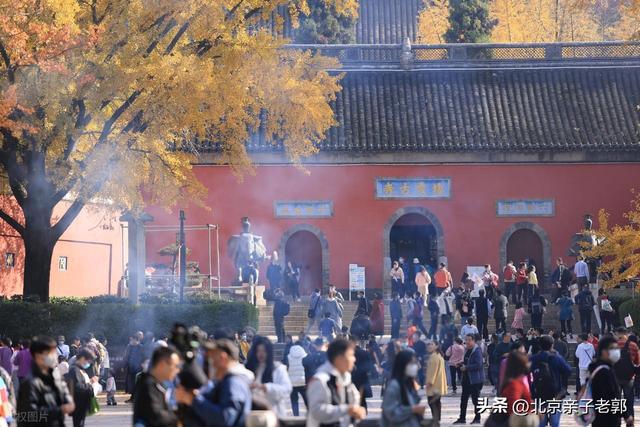北京秋日Citywalk全攻略｜本周银杏黄金路线追秋指南